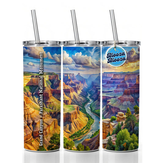 Grand Canyon - Parashant National Monument Arizona Skinny Tumbler 20oz with Straw Insulated Water Bottle Gift