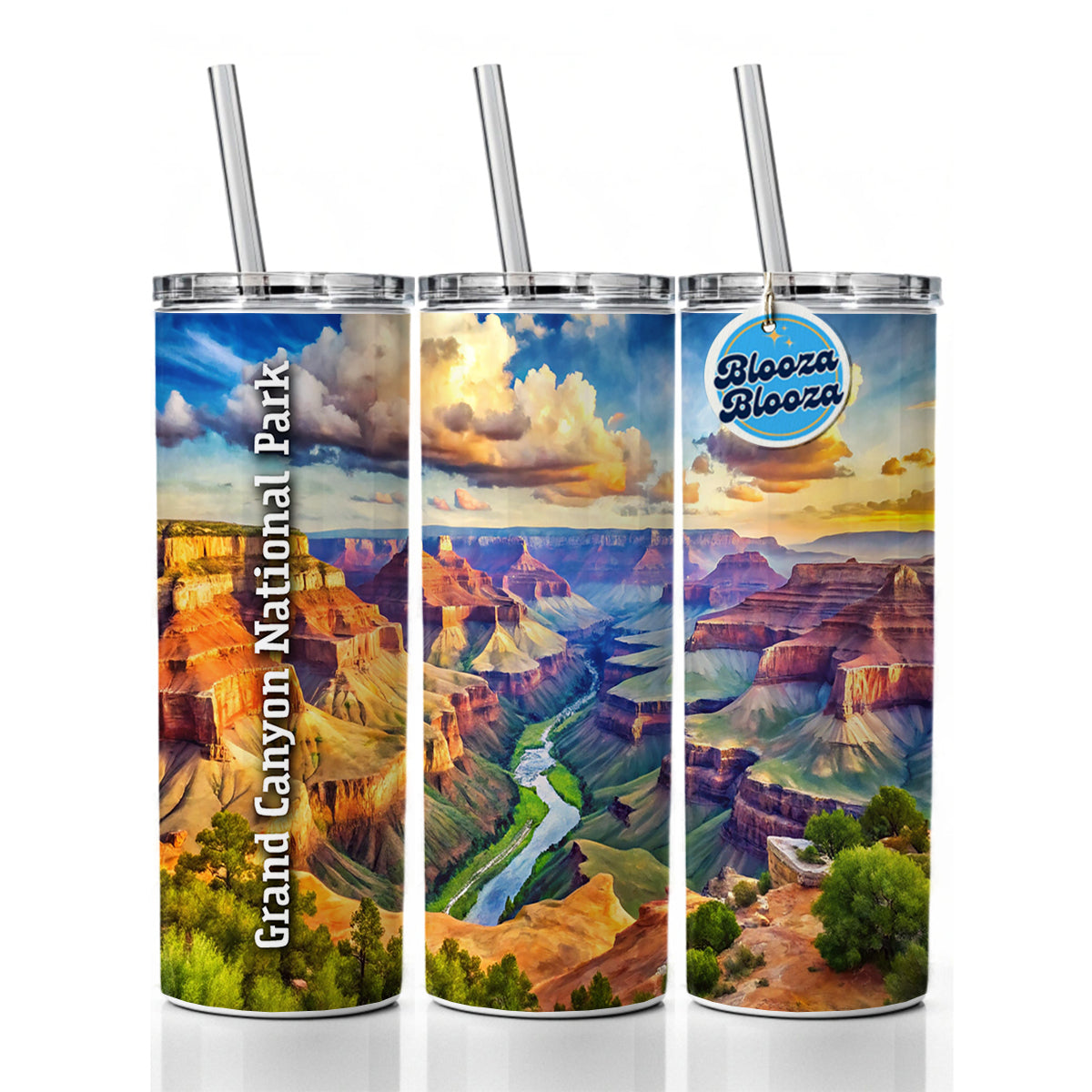 Grand Canyon National Park Arizona Skinny Tumbler 20oz with Straw Insulated Water Bottle Gift