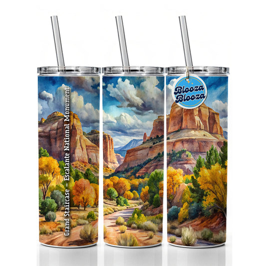 Grand Staircase - Escalante National Monument Utah Skinny Tumbler 20oz with Straw Insulated Water Bottle Gift
