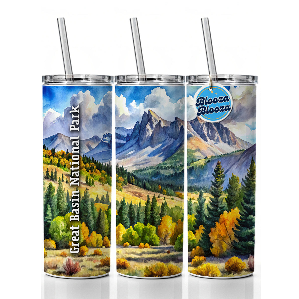 Great Basin National Park Nevada Skinny Tumbler 20oz with Straw Insulated Water Bottle Gift
