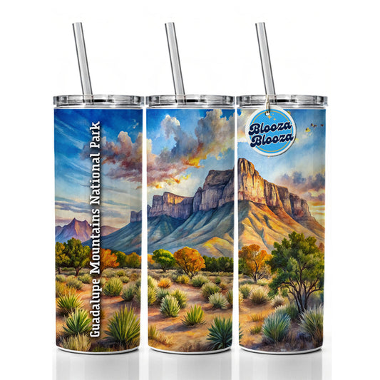 Guadalupe Mountains National Park Texas Skinny Tumbler 20oz with Straw Insulated Water Bottle Gift