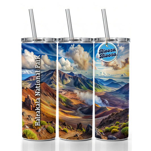 Haleakala National Park Hawaii Skinny Tumbler 20oz with Straw Insulated Water Bottle Gift