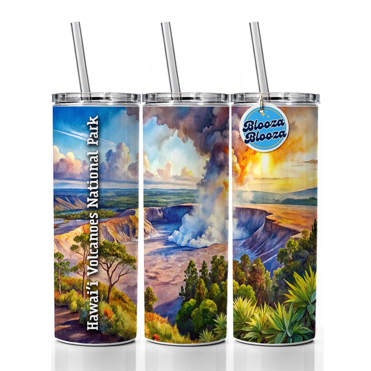 Hawai'i Volcanoes National Park Skinny Tumbler 20oz with Straw Insulated Water Bottle Gift