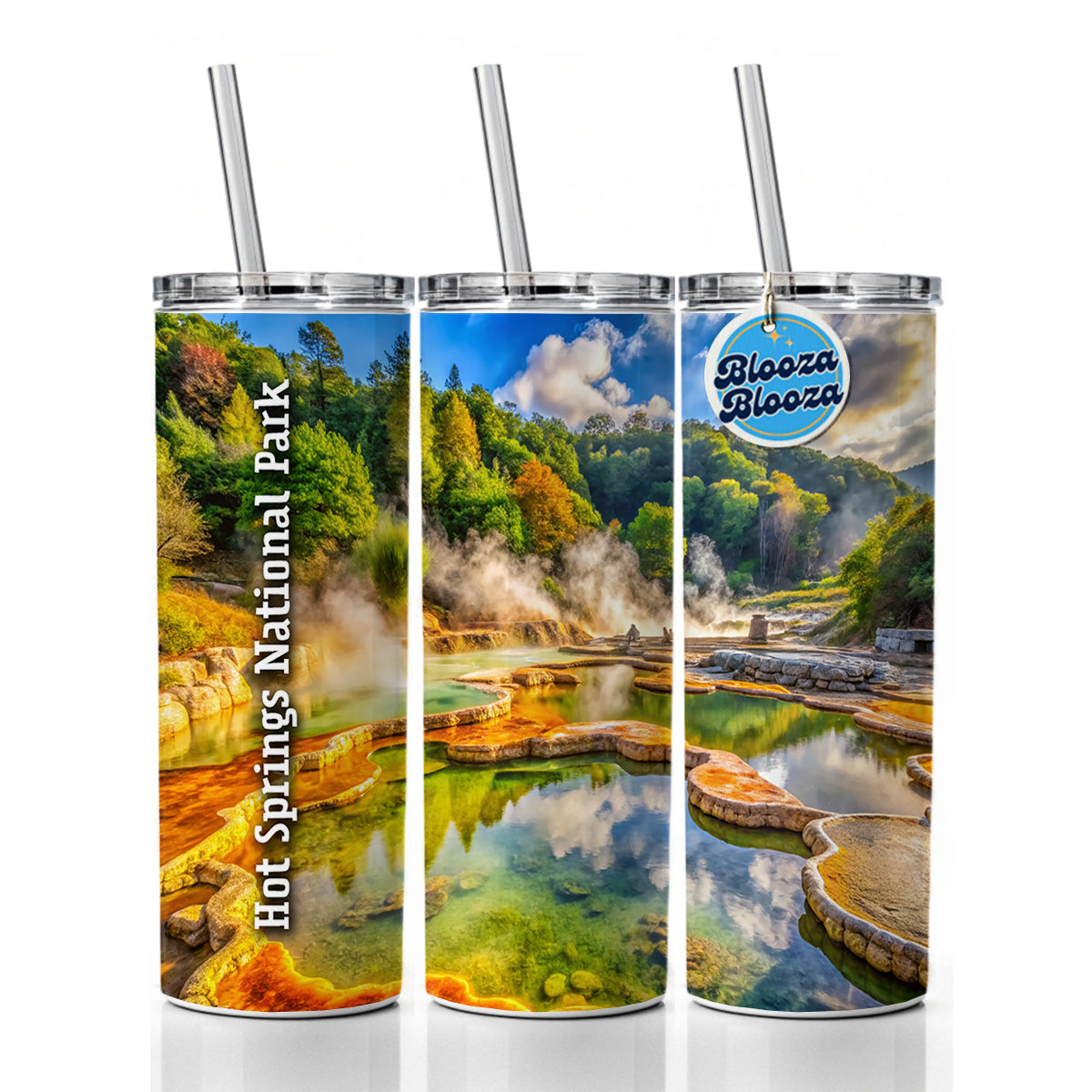 Hot Springs National Park Arkansas Skinny Tumbler 20oz with Straw Insulated Water Bottle Gift