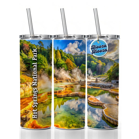 Hot Springs National Park Arkansas Skinny Tumbler 20oz with Straw Insulated Water Bottle Gift