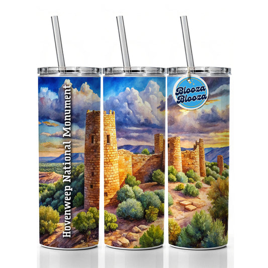 Hovenweep National Monument Colorado, Utah Skinny Tumbler 20oz with Straw Insulated Water Bottle Gift