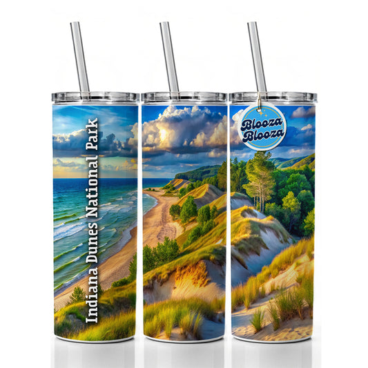 Indiana Dunes National Park Indiana Skinny Tumbler 20oz with Straw Insulated Water Bottle Gift
