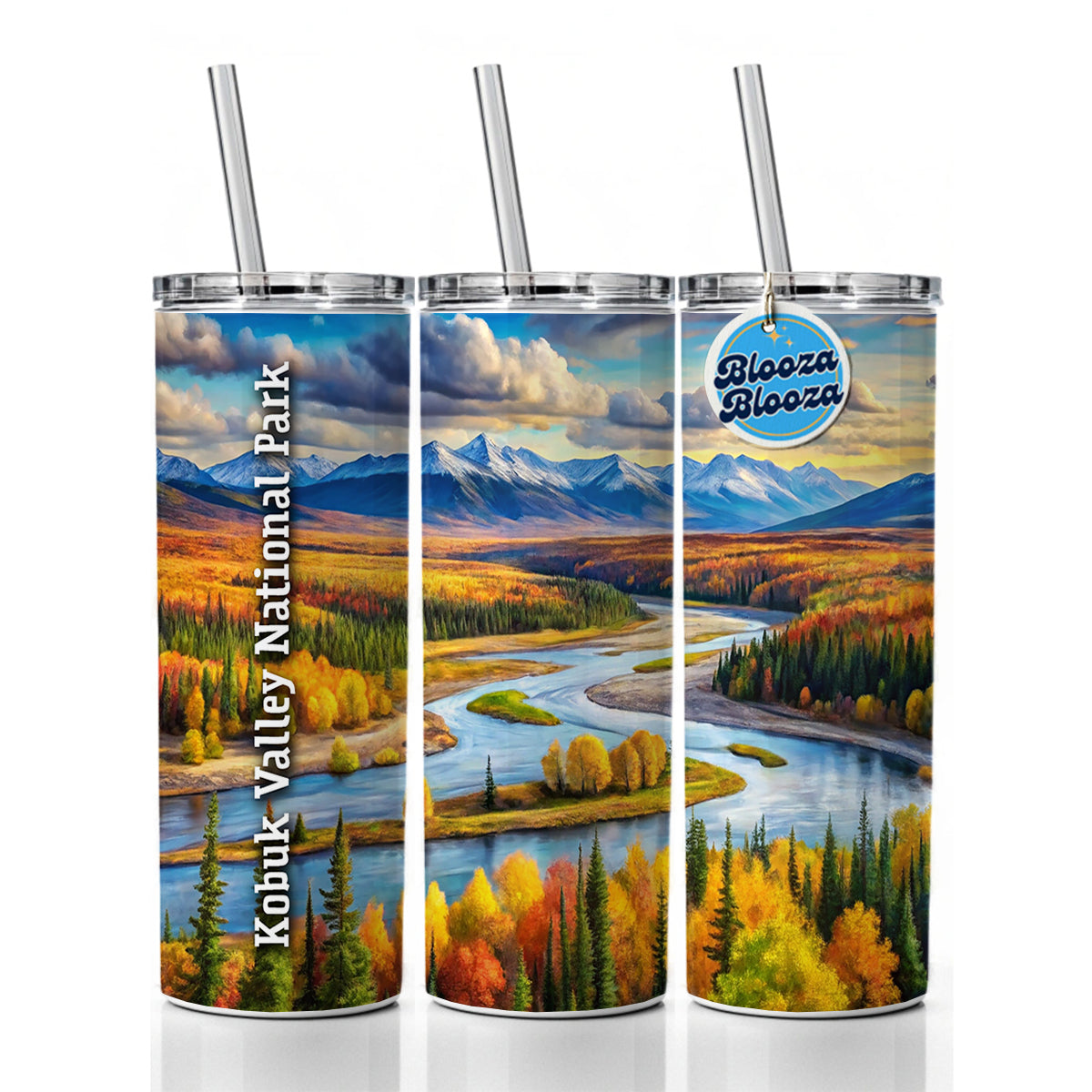 Kobuk Valley National Park Alaska Skinny Tumbler 20oz with Straw Insulated Water Bottle Gift