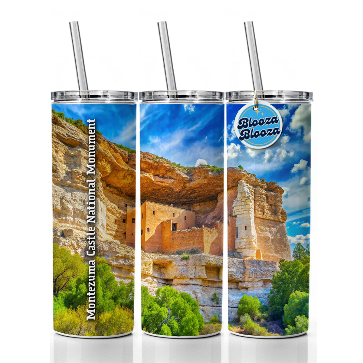 Montezuma Castle National Monument Arizona Skinny Tumbler 20oz with Straw Insulated Water Bottle Gift