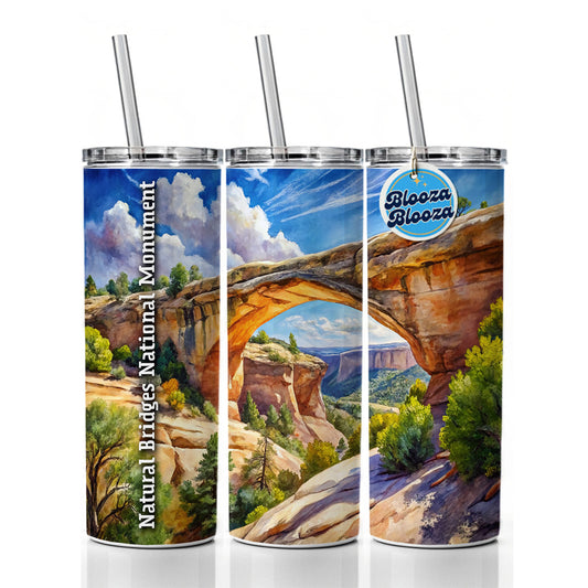 Natural Bridges National Monument Utah Skinny Tumbler 20oz with Straw Insulated Water Bottle Gift