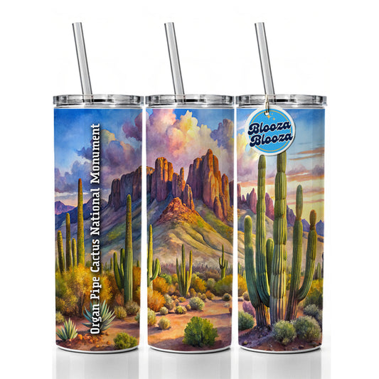 Organ Pipe Cactus National Monument Arizona Skinny Tumbler 20oz with Straw Insulated Water Bottle Gift
