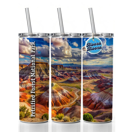 Petrified Forest National Park Arizona Skinny Tumbler 20oz with Straw Insulated Water Bottle Gift