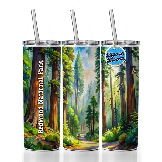 Redwood National Park California Skinny Tumbler 20oz with Straw Insulated Water Bottle Gift
