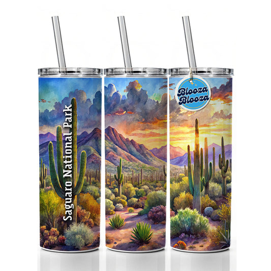 Saguaro National Park Arizona Skinny Tumbler 20oz with Straw Insulated Water Bottle Gift