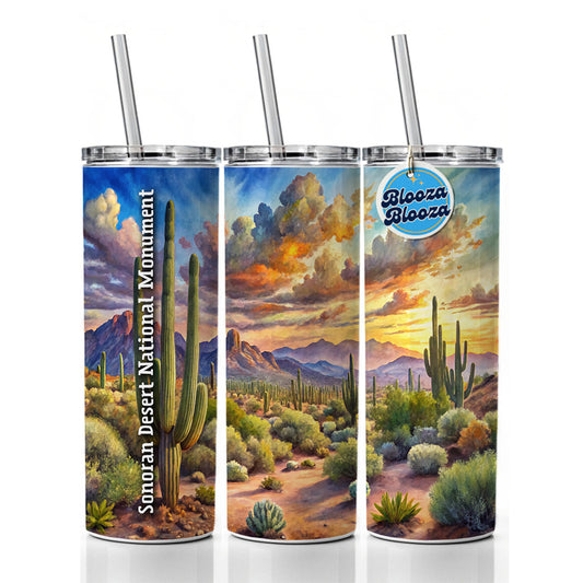 Sonoran Desert National Monument Arizona Skinny Tumbler 20oz with Straw Insulated Water Bottle Gift