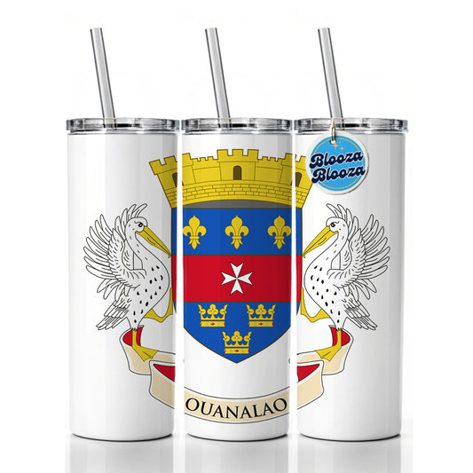 Saint Barthélemy Country Flag Skinny Tumbler 20oz with Straw Insulated Water Bottle Gift