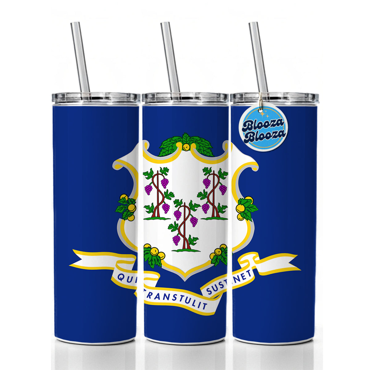 Connecticut CT State Flag Skinny Tumbler 20oz with Straw Insulated Water Bottle Gift