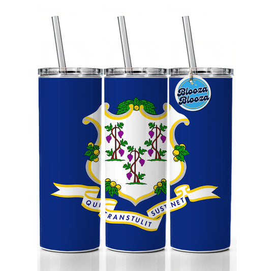 Connecticut CT State Flag Skinny Tumbler 20oz with Straw Insulated Water Bottle Gift