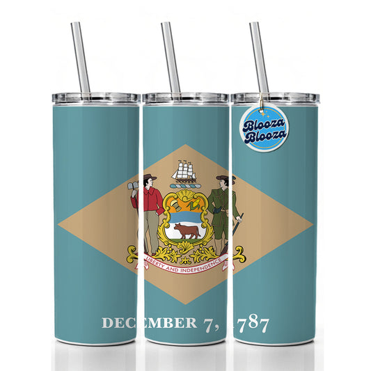 Delaware DE State Flag Skinny Tumbler 20oz with Straw Insulated Water Bottle Gift