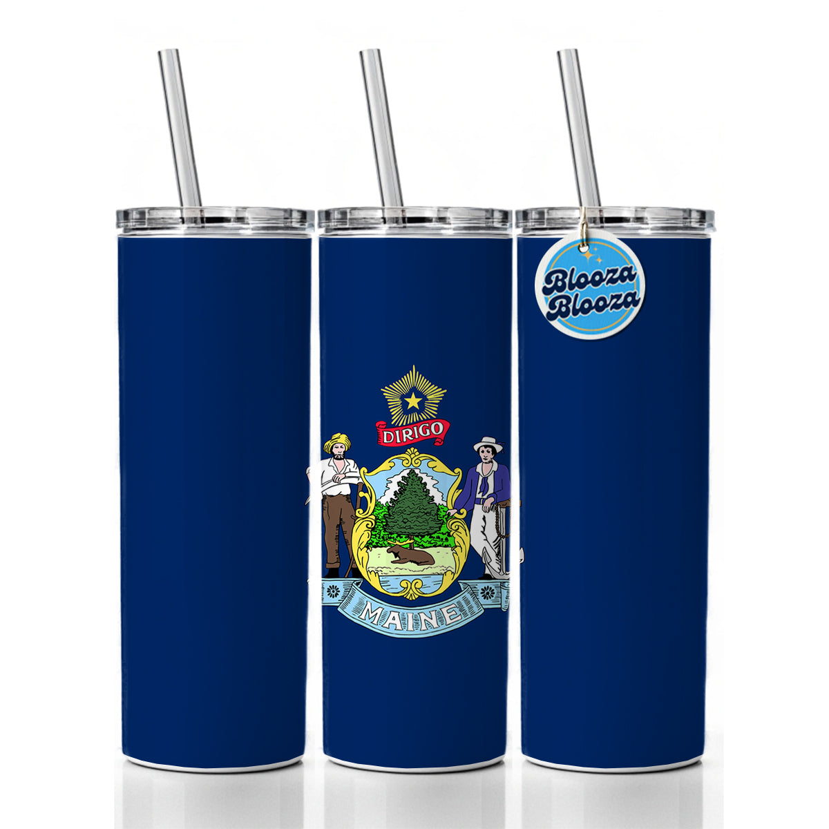Maine ME State Flag Skinny Tumbler 20oz with Straw Insulated Water Bottle Gift