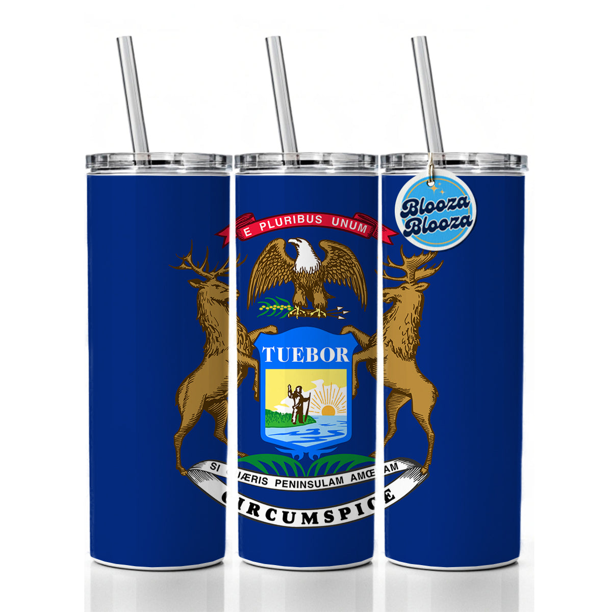 Michigan MI State Flag Skinny Tumbler 20oz with Straw Insulated Water Bottle Gift