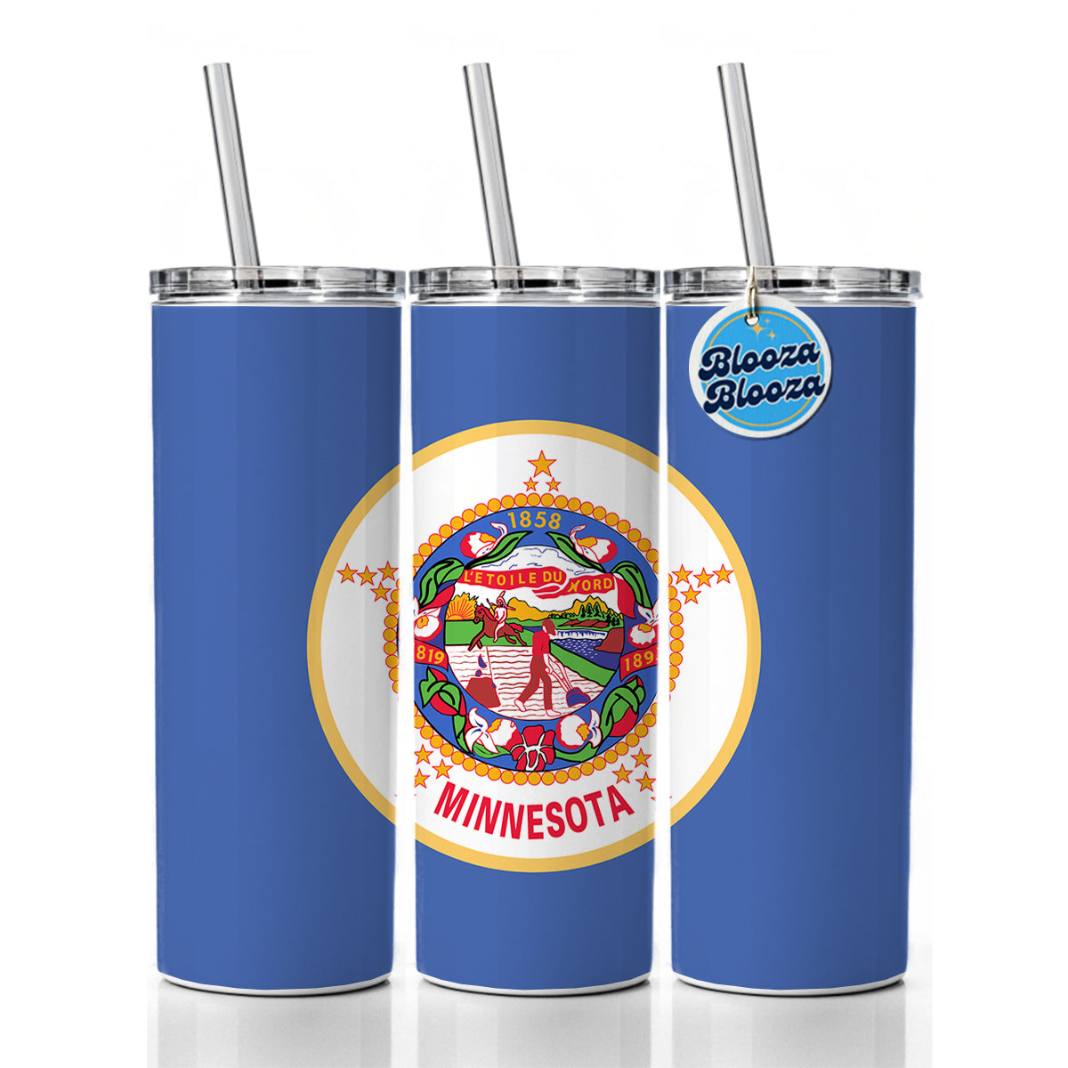 Minnesota MN State Flag Skinny Tumbler 20oz with Straw Insulated Water Bottle Gift