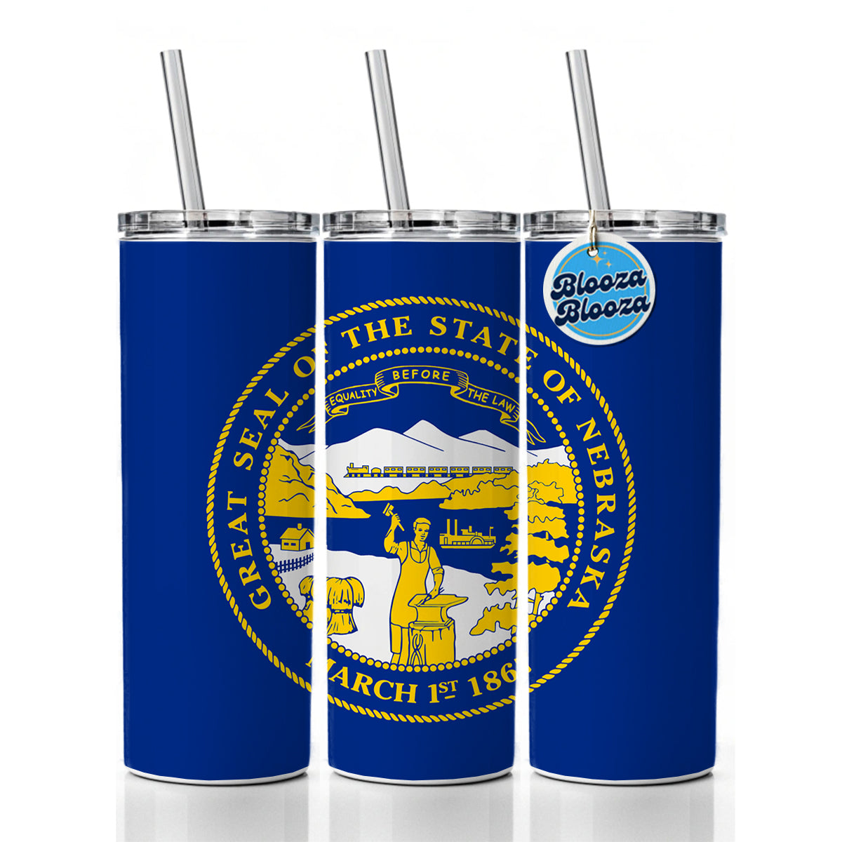 Nebraska NE State Flag Skinny Tumbler 20oz with Straw Insulated Water Bottle Gift