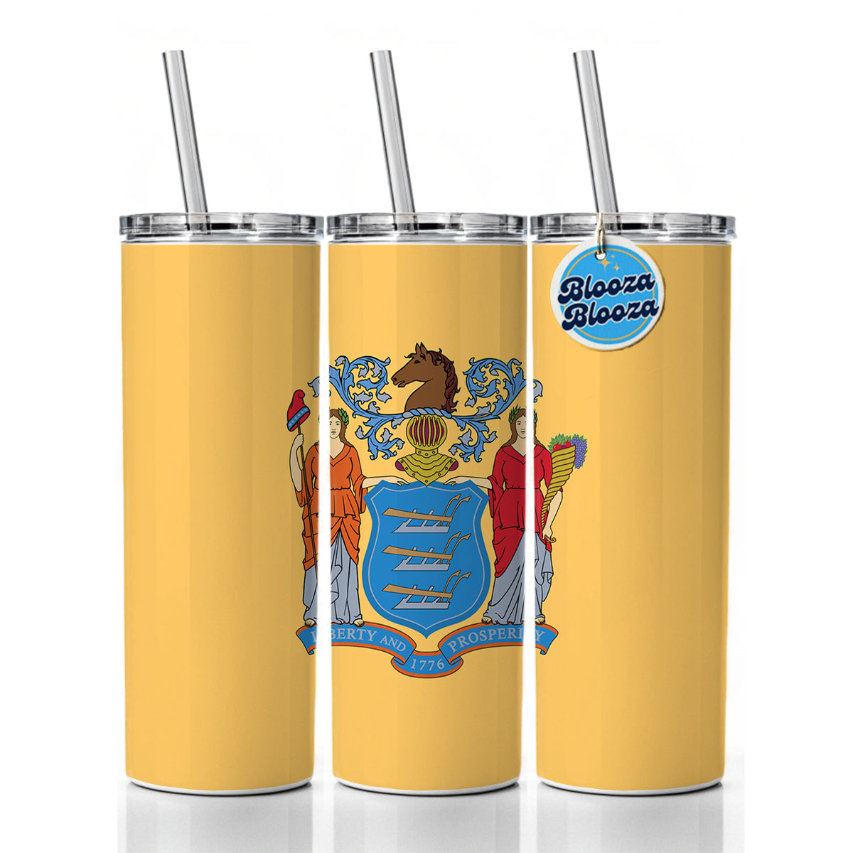 New Jersey NJ State Flag Skinny Tumbler 20oz with Straw Insulated Water Bottle Gift