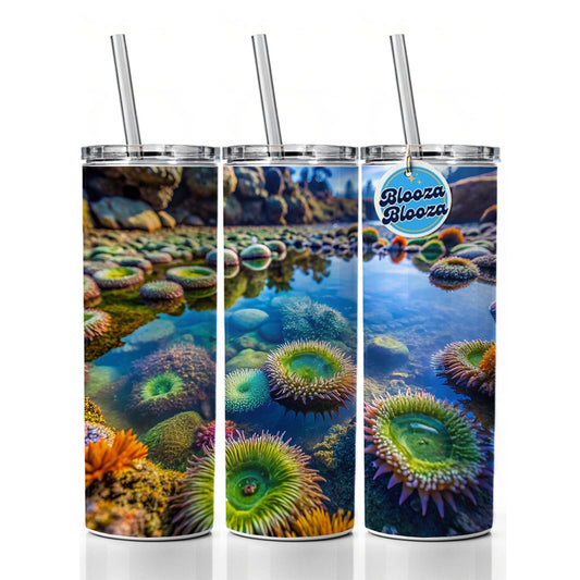 Colorful Ocean Beach Tide Pool Skinny Tumbler 20oz with Straw Insulated Water Bottle Gift