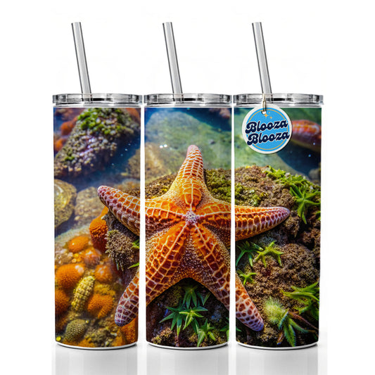 Starfish In Tide Pool Skinny Tumbler 20oz with Straw Insulated Water Bottle Gift