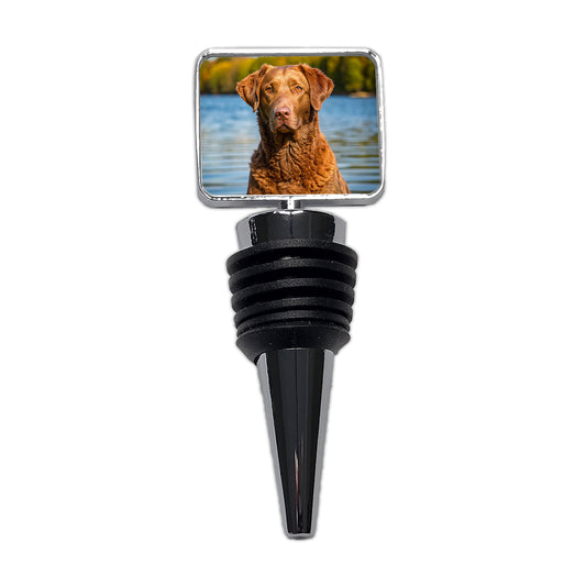 Chesapeake Bay Retriever Dog Photo Wine Bottle Stopper