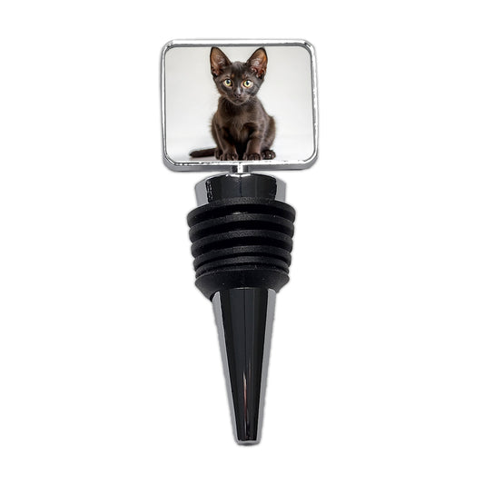 Bombay Black Cat Kitten Photo Wine Bottle Stopper