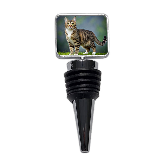 Cute Tabby Cat Photo Wine Bottle Stopper
