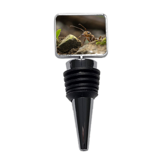 Ant Insect Nature Photo Wine Bottle Stopper